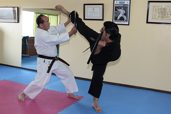 Adults Martial Arts
